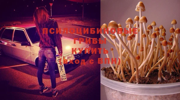 дмт Нязепетровск