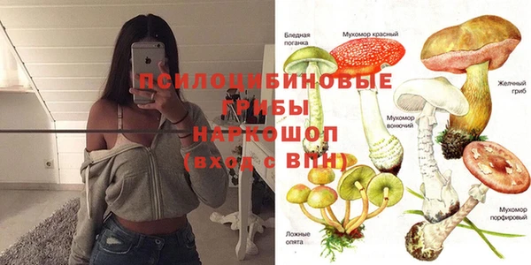 дмт Нязепетровск