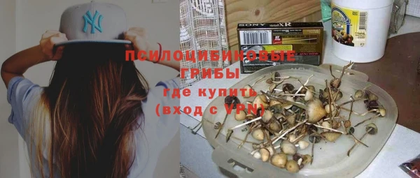 дмт Нязепетровск