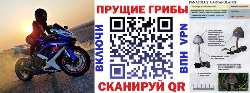 Псилоцибиновые грибы Psilocybine cubensis  даркнет сайт  Боровск 